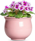 African Violet Pots, 6 Inch Ceramic Easy Self Watering Pots by Teagas