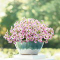 24 Bundles Artificial Pansy Flowers by Griine