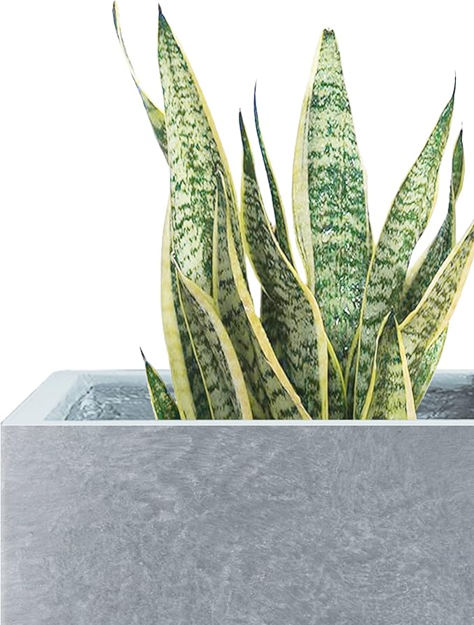 Kante 15.7" H Tall Rectangular Concrete Planters, Outdoor Indoor Lightweight - Image 3