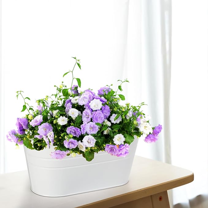 Foraineam 4 Pack Hanging Flower Pots, Metal Iron Plant Pot Holders, Large Fence - Image 5