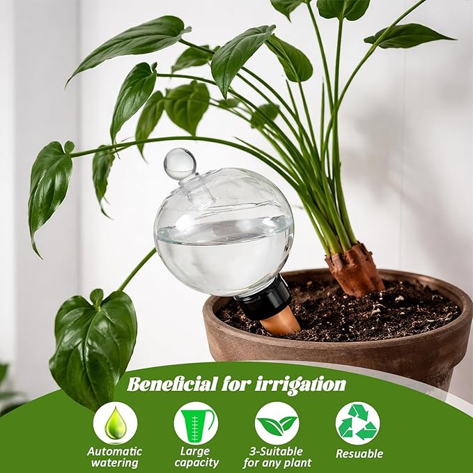 4 Pack 17.5 oz Plant Watering Globes - Image 5