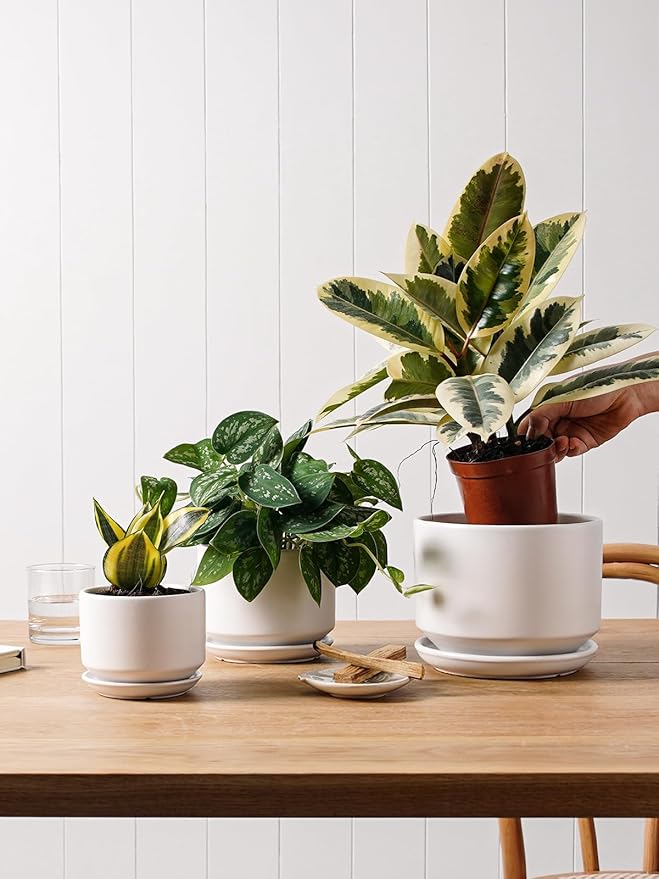 LE TAUCI Ceramic Plant Pots, 4.3+5.3+6.8 inch, Planters - Image 7