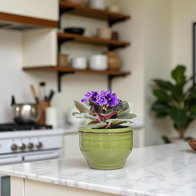 African Violet Pots Self Watering Round Ceramic Violet Pot - Image 9