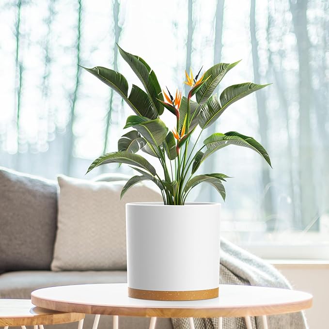 8 Inch Cylinder Flower Pots for Indoor Outdoor Plants, Medium Deep Plant Pots - Image 6