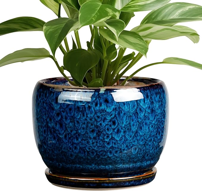 SQOWL Ceramic Planter 8 Inch by SQOWL