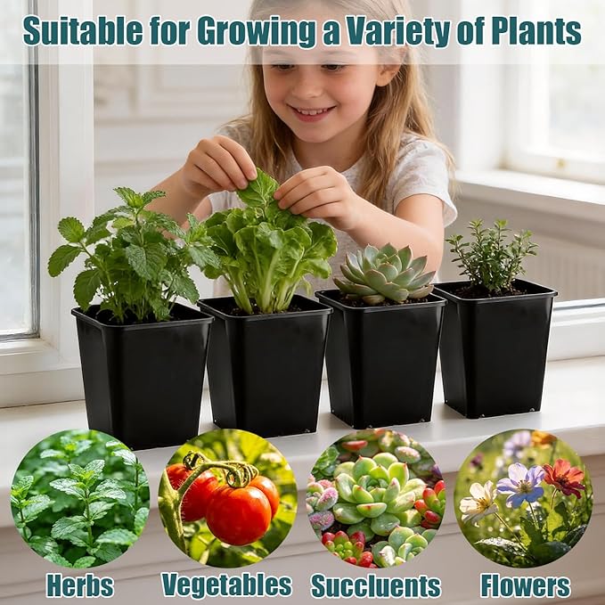 Nursery Pots 6 Inch 40 Pcs, Plastic Seed Starting Pot - Image 4