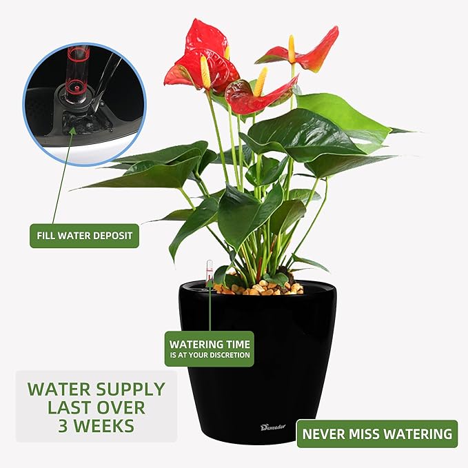 Dexceder 15x14 Self Watering Planter - Image 5