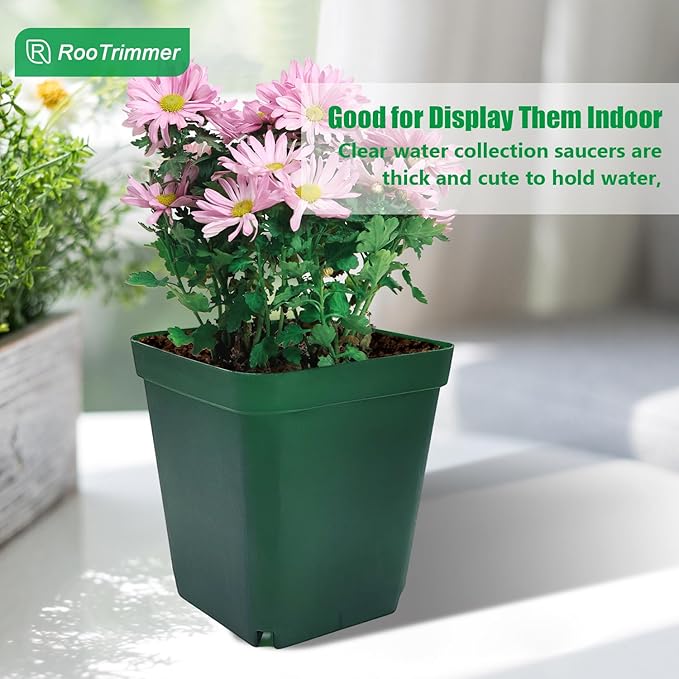 Square Nursery Succulent Pots 4 Inches 60 Pcs Deep Flower Plant Nursery - Image 7