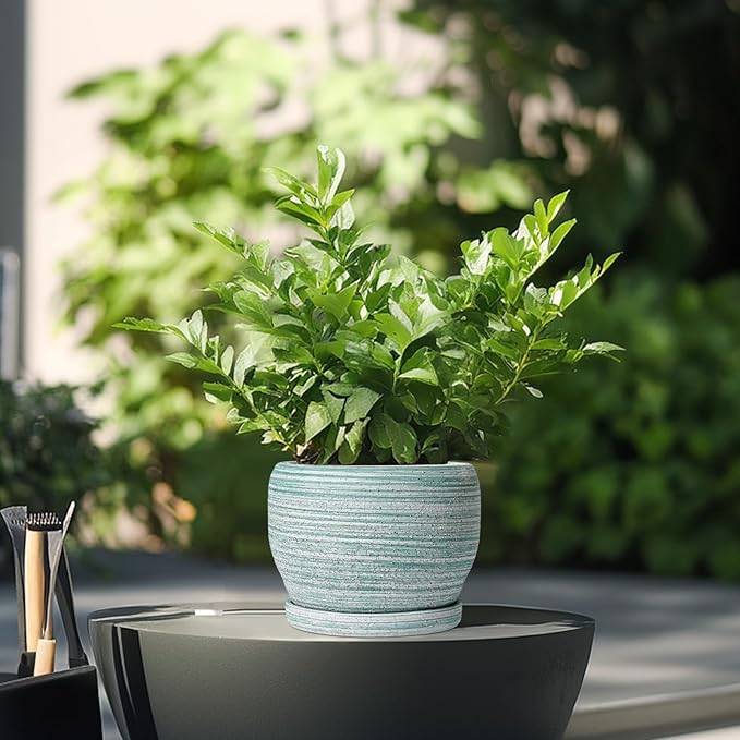 SQOWL Ceramic Plant Pots - Image 4