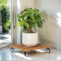 Idzo 2-Pack 12 Inch Acacia Wood Rolling Square Plant Caddy by Idzo