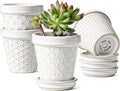 LE TAUCI 3 Inch Mini Succulent Pots by LETAUCI
