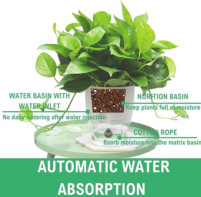 6/4/3Inch Self Watering Planter Pots 3 Pack Plant Pot - Image 5
