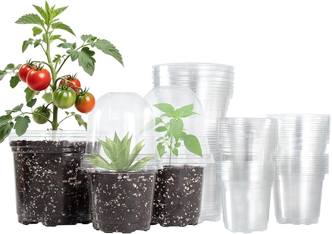 36 Packs 5/4/3.5 Inch Clear Nursery Pots by Bluepro