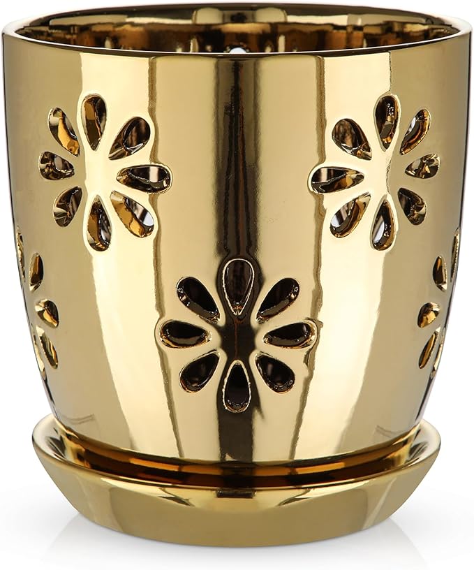 Oairse 6 inch Orchid Pots with Holes, Indoor Plant by Oairse