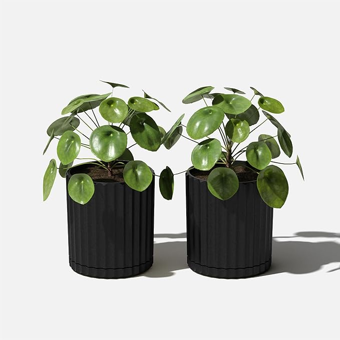 Veradek Demi Series Demi 6" Planter w/Tray - Image 6