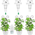 Indoor Plant Trellis for Climbing Plants, Stackable Garden Trellis for Potted by Ailibre