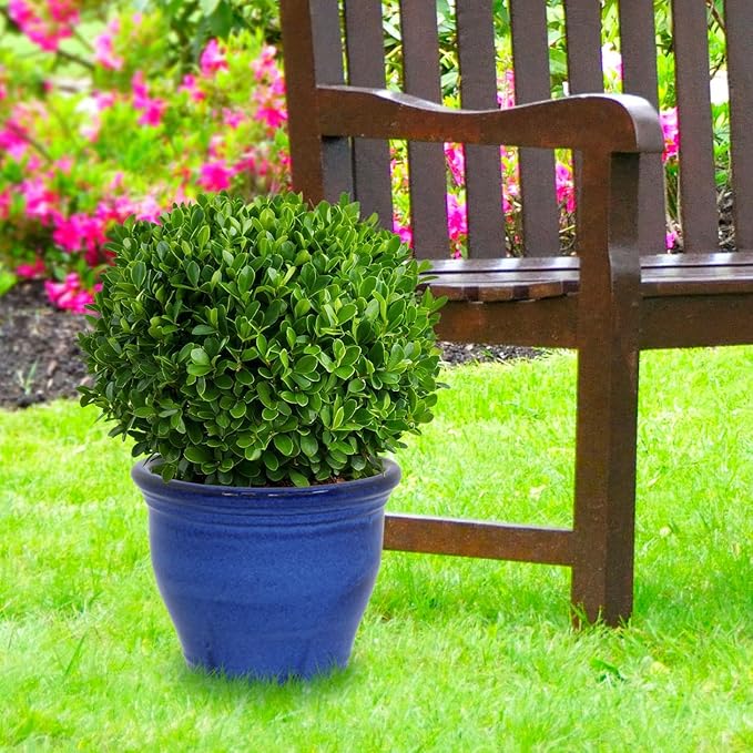 Sunnydaze Large Ceramic Plant Pot - Image 9