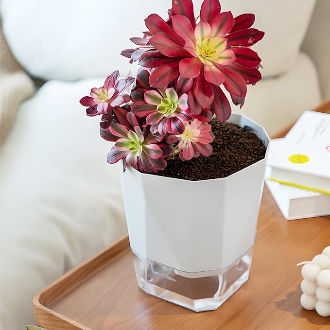 3 Pack Self Watering Flower Pots 6.5 Inch, Plant Pots - Image 8