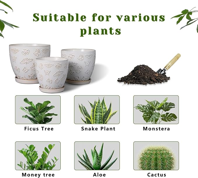 Ceramic Planter Pot - Image 8