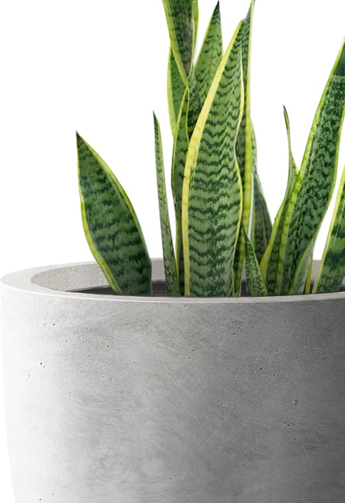 Kante 18 Inch Dia Round Concrete Planter, Indoor Outdoor Large Plant Pot - Image 2