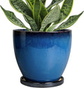 Ceramic Planters for Indoor Plants by EPFamily