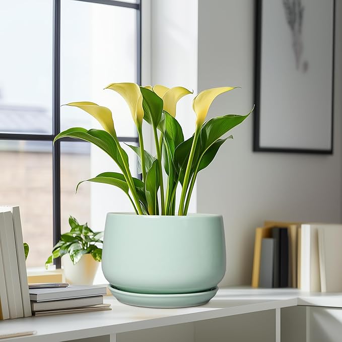 G EPGardening Ceramic Pots for Plants - Image 8