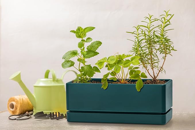 D'vine Dev 12 Inch Window Box Planter, Rectangle Plastic Herb Planter - Image 8