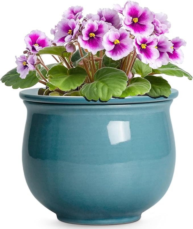 African Violet Pots 6 Inch, Ceramic Self Watering Pot by Teagas