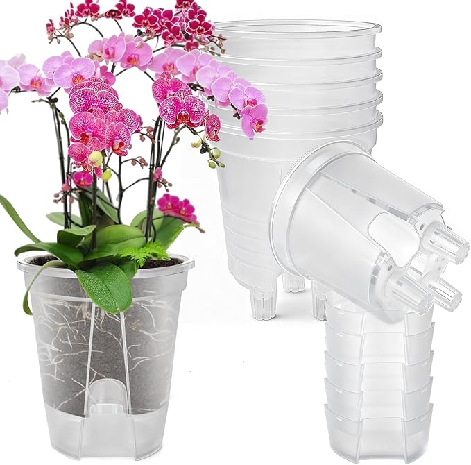Cdd's Path Large Naked Root Planter Self Watering Pots Set by Unknown