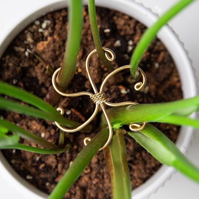 Monstera Plant Stem Support Set by Yohsnor
