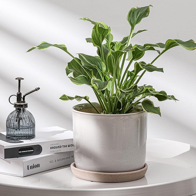 8 Inch Plant Pot: Ceramic Planter - Image 5