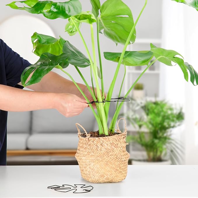 6PCS Iron Monstera Plant Support, Uniquely Designed Indoor Plant Accessories - Image 7