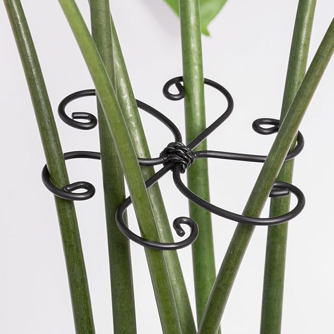 Monstera Plant Support Hook by Yohsnor