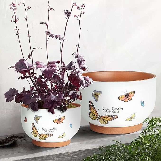 YBX 8 Inch + 6 Inch Terracotta Plant Pots, Flower Pots - Image 4