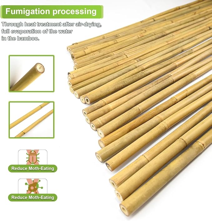 30pcs 3/10" D Thicker Heavy Duty Bamboo Stakes, 2FT Plant Stakes, Natural - Image 3