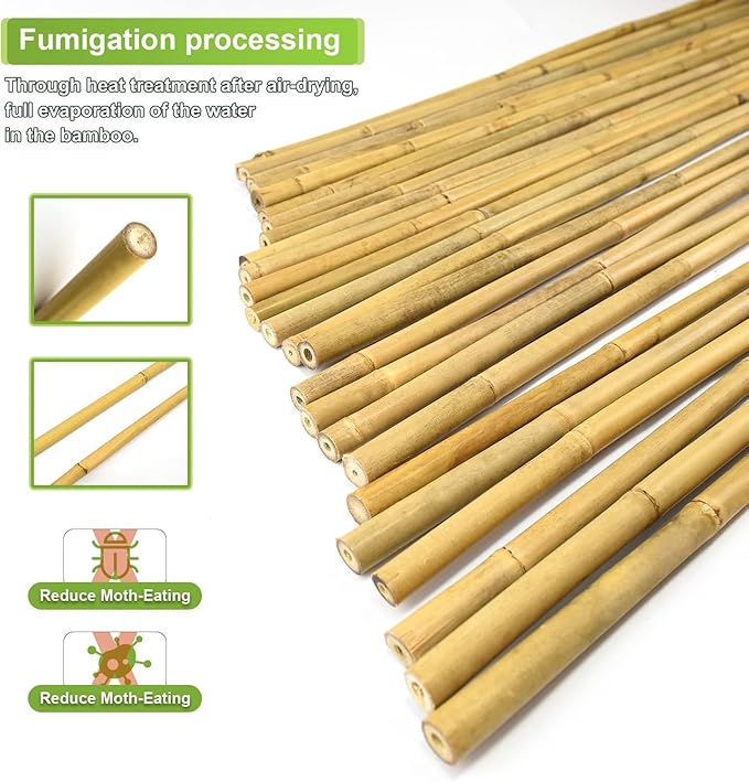 25pcs 1/2" D Thicker Heavy Duty Bamboo Stakes, 4.75FT Plant Stakes, Natural - Image 3