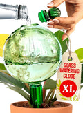 16 Oz Plant Watering Globes for Indoor Plants by GARDENBRO