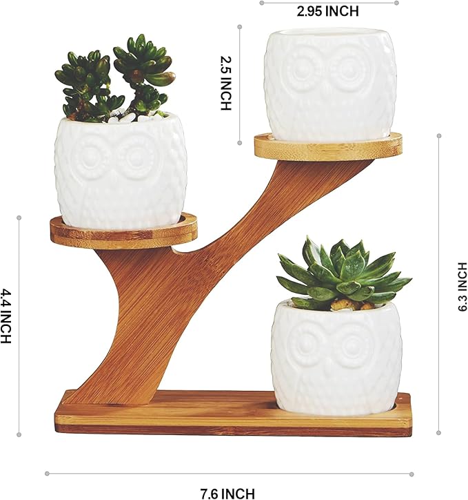 FLOWERPLUS Planter Pots Indoor, 3 Pack 3 Inch White Ceramic Decorative Small - Image 2
