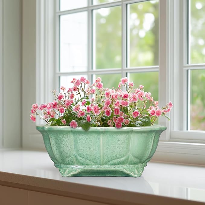 Bonsai Pots 11 Inch - Image 6