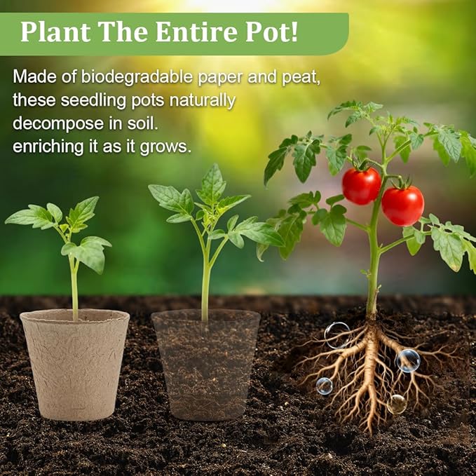 3.15 Inch Peat Pots 100 Pcs - Image 2
