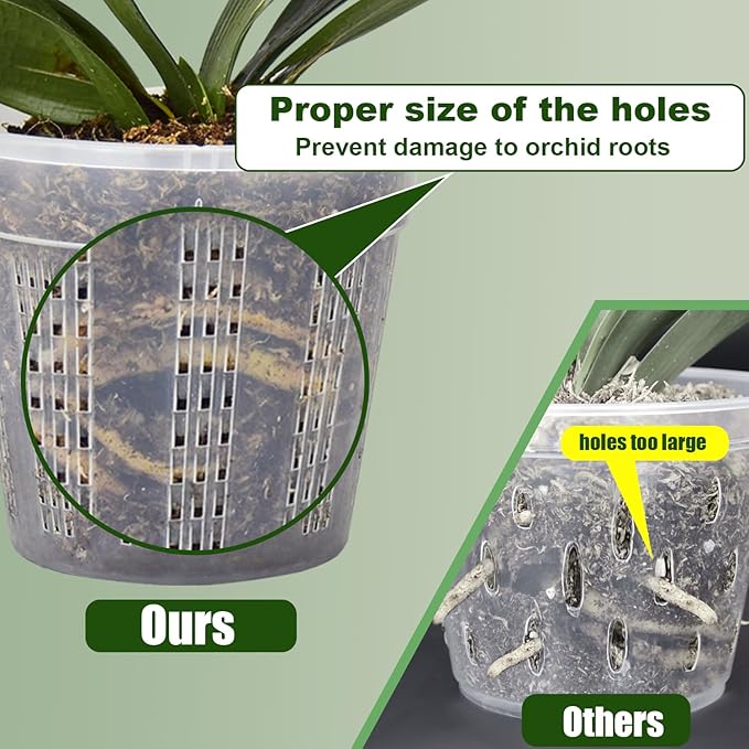 Orchid Pot with Saucers, 2 Each of 4.3", 6.1" Orchid Pots with Holes - Image 4