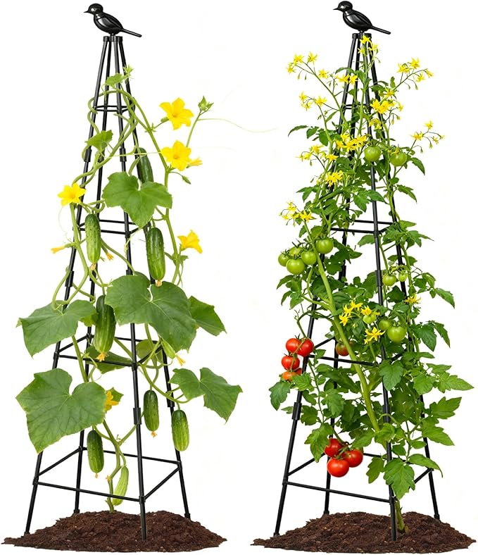 2 Pack Garden Trellis for Climbing Plants Outdoors, 70inch Tower Obelisk by Lazzmonk