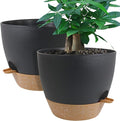12inch 2Pack Large Self Watering Planters, Plastic Plant Pots by UOUZ