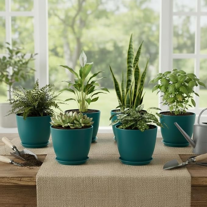 Plant Pots 8 Inch Set of 6, Flower Pots - Image 7