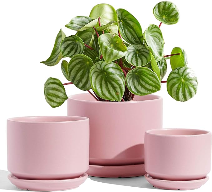 LE TAUCI Ceramic Plant Pots, 4.3+5.3+6.8 inch, Planters by LETAUCI