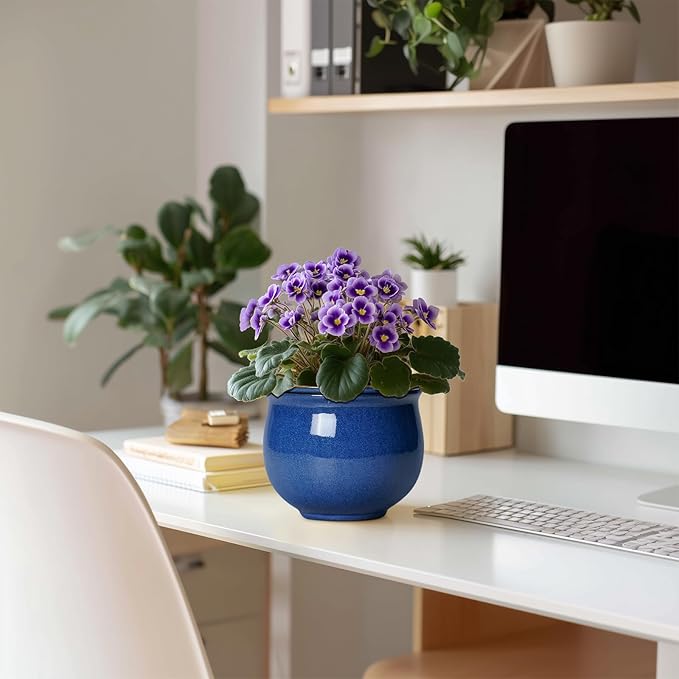 6 Inch Self Watering Pots, Ceramic African Violet Planter - Image 3