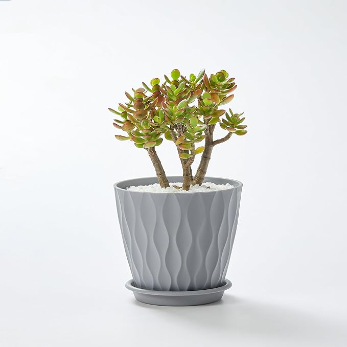 FaithLand 6-Pack 6-Inch Plastic Plant Pots - Image 7