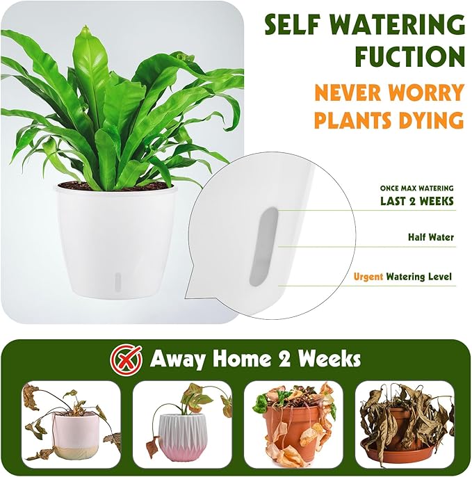 Self-Watering Pots for Indoor Plants, Small African Violet Pots - Image 3