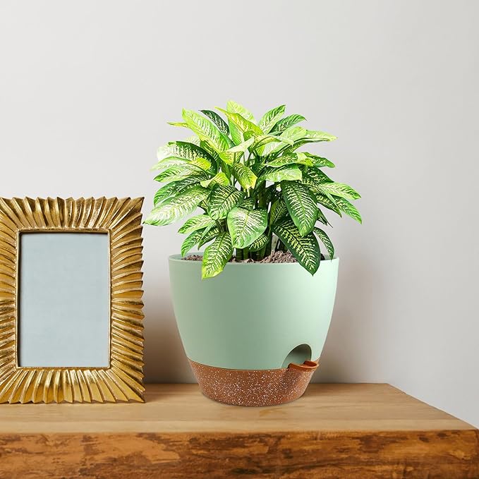 10 inch Self Watering Pots, 2 Pack Plastic Planters - Image 7
