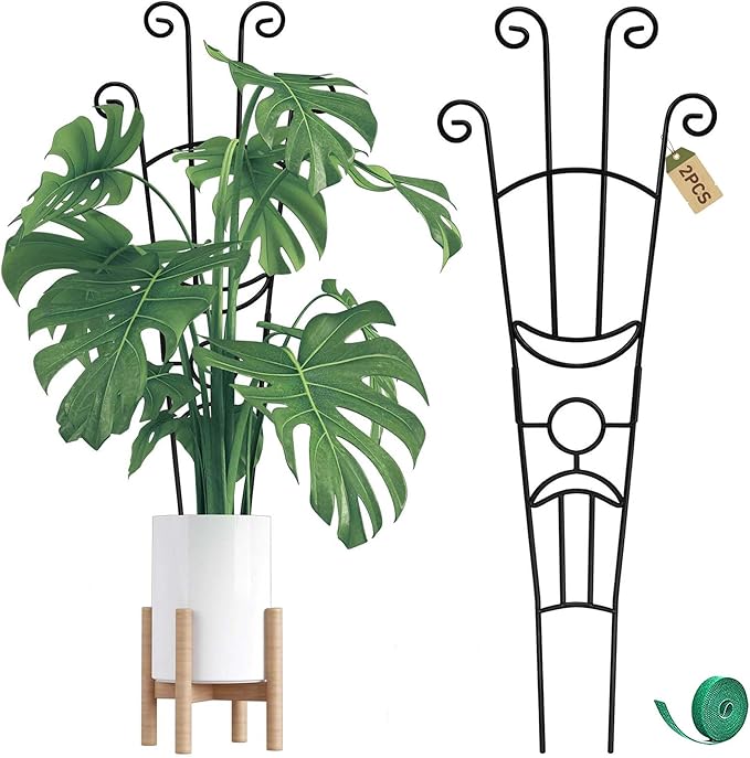 32.6in Monstera Plant Support Stakes by COOMIN